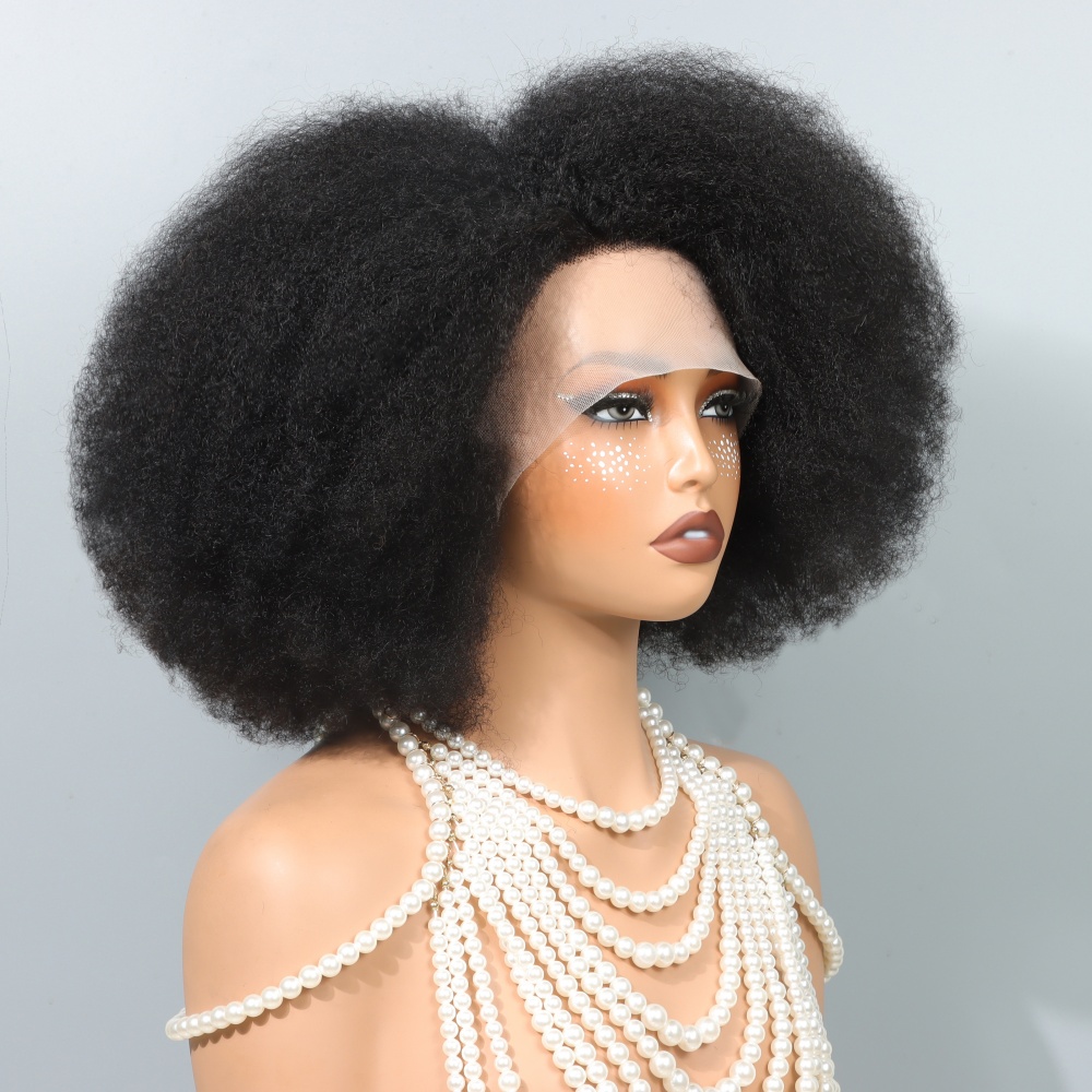 14 Inch Afro Wigs for Black Wo - огляд і ціна Glueless Wear And Go Human Hair Wig